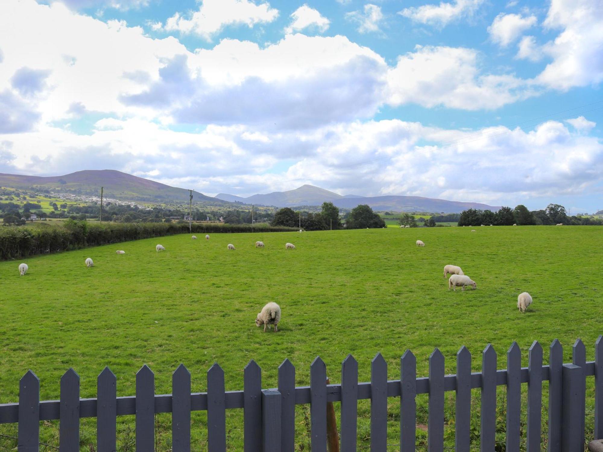Pencefn Cottage Llanddeiniolen Exterior foto